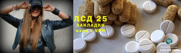 эйфоретик Липки