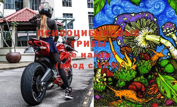 прущие крисы Лихославль