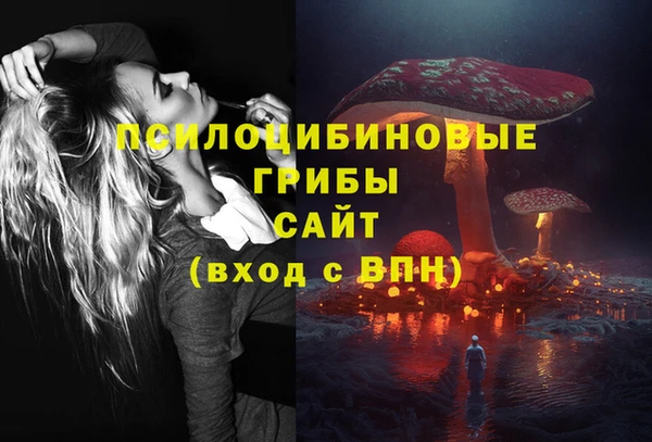эйфоретик Липки