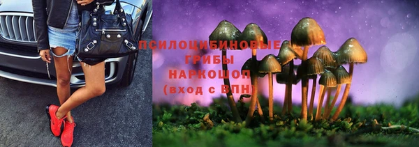 прущие крисы Лихославль