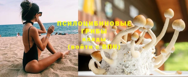 эйфоретик Липки