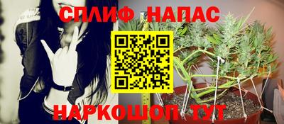 индика Балашиха