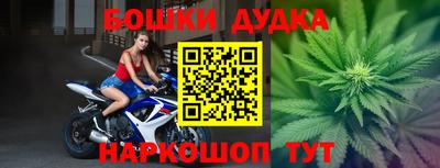 индика Балашиха