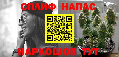 индика Балашиха