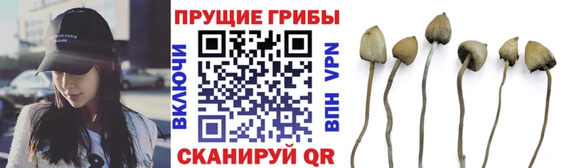 Псилоцибиновые грибы Magic Shrooms сколько стоит Владикавказ