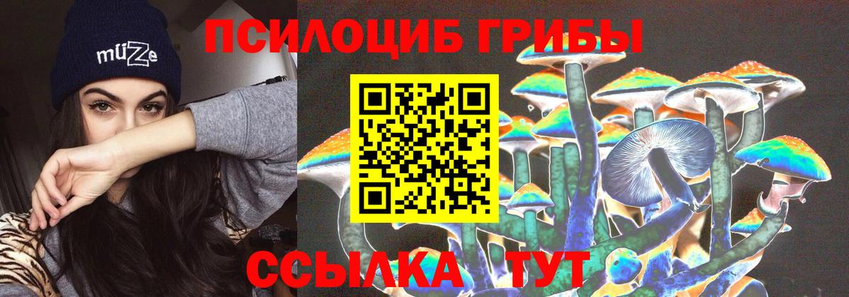 Псилоцибиновые грибы Magic Shrooms Владикавказ